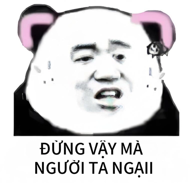 Meme gấu trúc mất ngủ chế vui