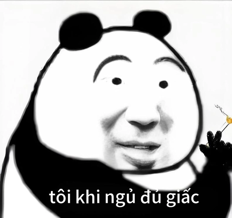 Meme gấu trúc mất ngủ troll bạn bè