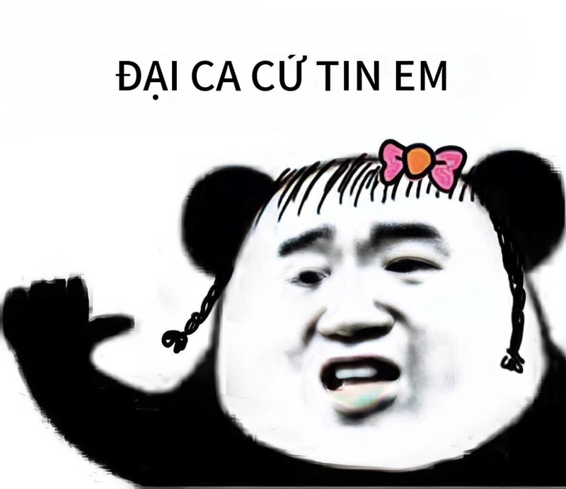 Meme gấu trúc mất ngủ troll vui nhộn