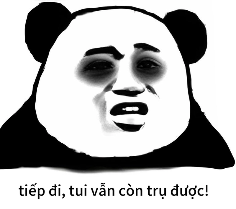 Meme gấu trúc mắt thâm bá đạo
