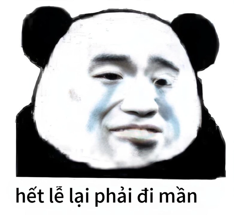 Meme gấu trúc mắt thâm chế siêu lầy