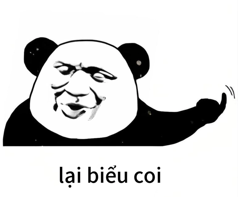 Meme gấu trúc mệt mỏi chế chất lừ