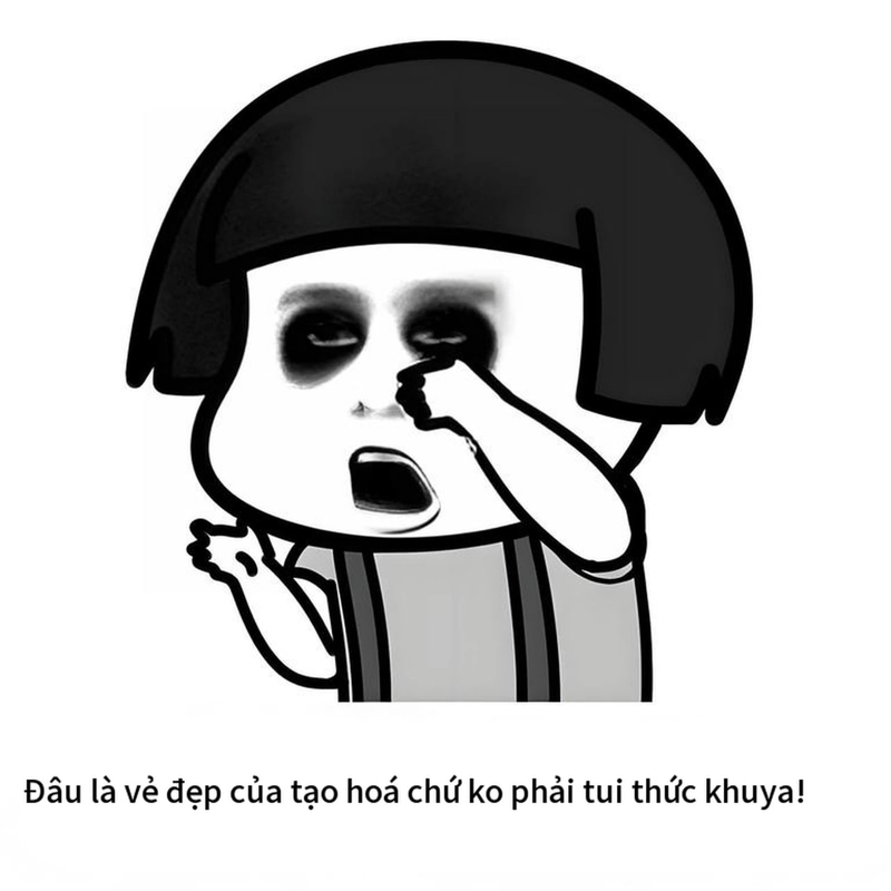 Meme gấu trúc mệt mỏi khó đỡ