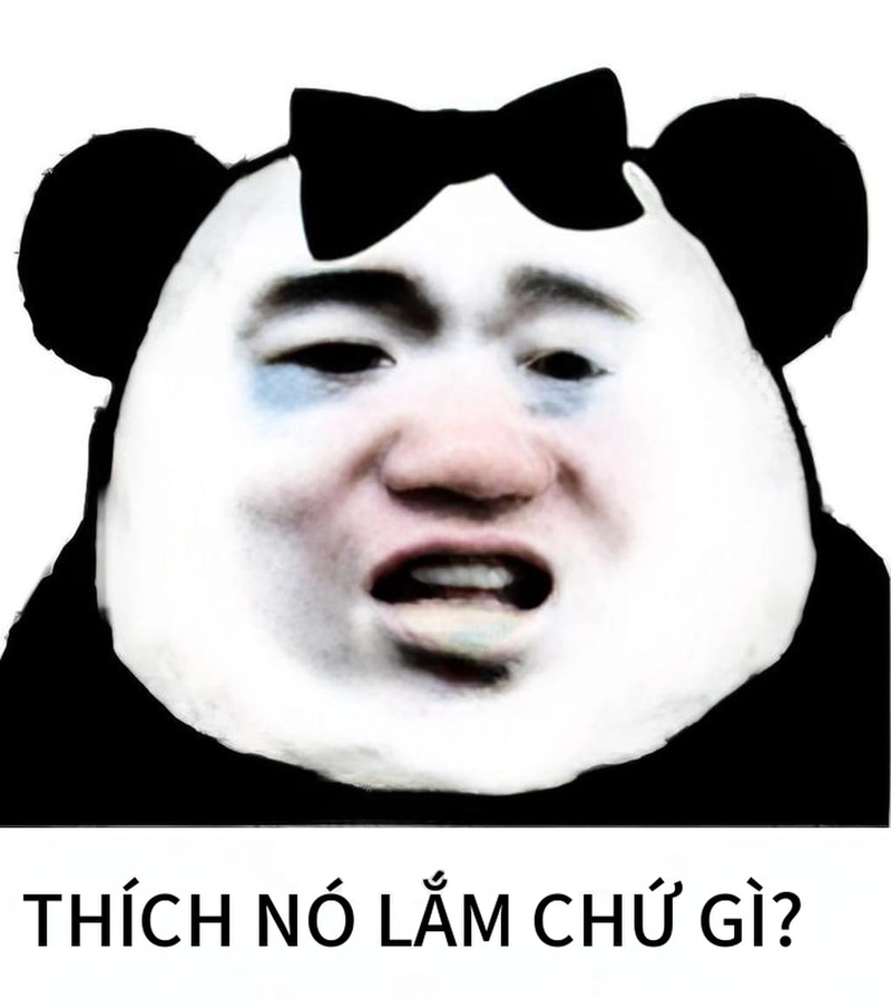 Meme gấu trúc mệt mỏi troll bá đạo