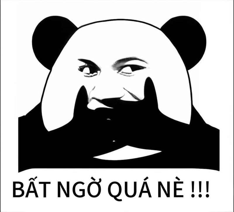 Meme gấu trúc ngạc nhiên siêu lầy