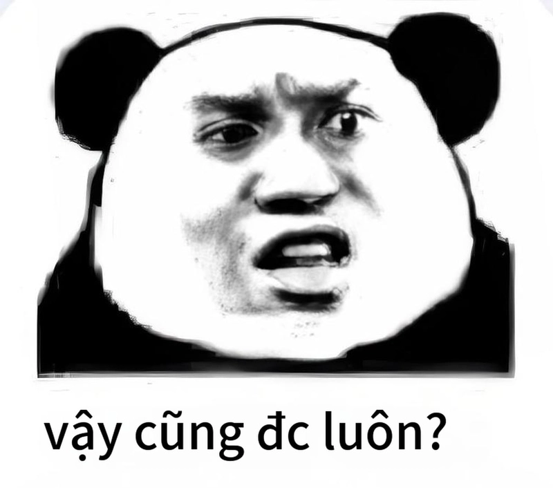Meme gấu trúc ngạc nhiên vui nhộn