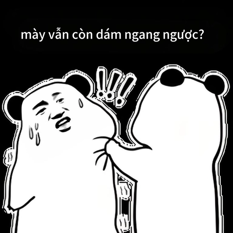 Meme gấu trúc ngang ngược châm biếm