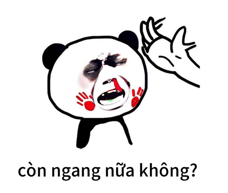 Meme gấu trúc ngang ngược chế lầy