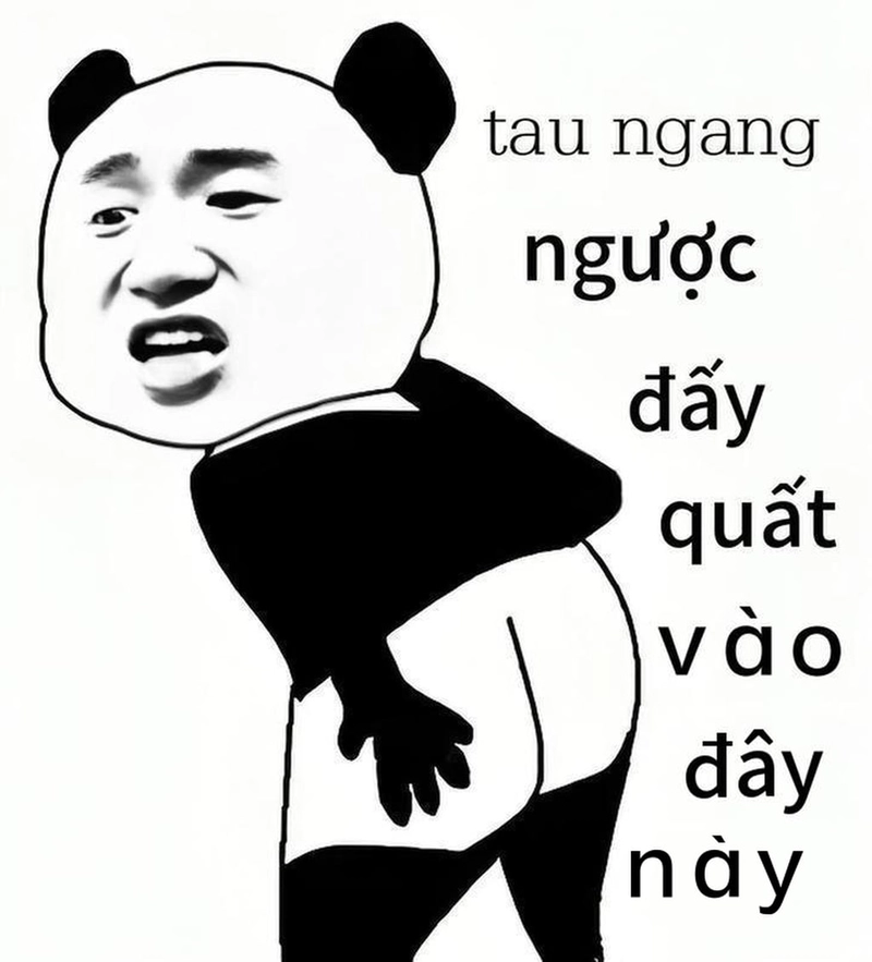 Meme gấu trúc ngang ngược cực hot