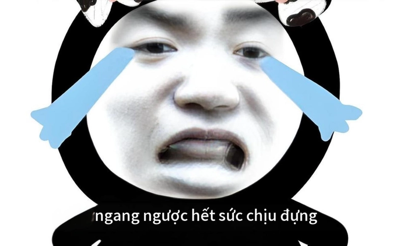 Meme gấu trúc ngang ngược cực lầy