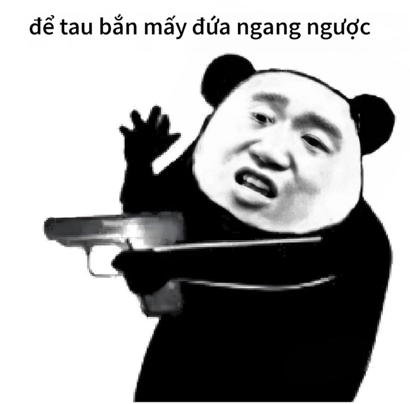 Meme gấu trúc ngang ngược cười ngất