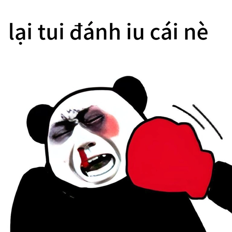 Meme gấu trúc ngang ngược độc đáo