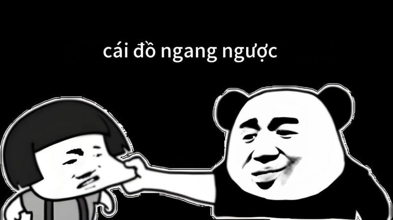 Meme gấu trúc ngang ngược siêu vui nhộn