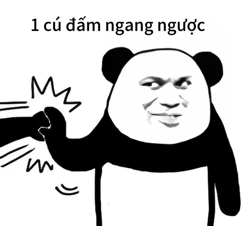 Meme gấu trúc ngang ngược troll bá đạo