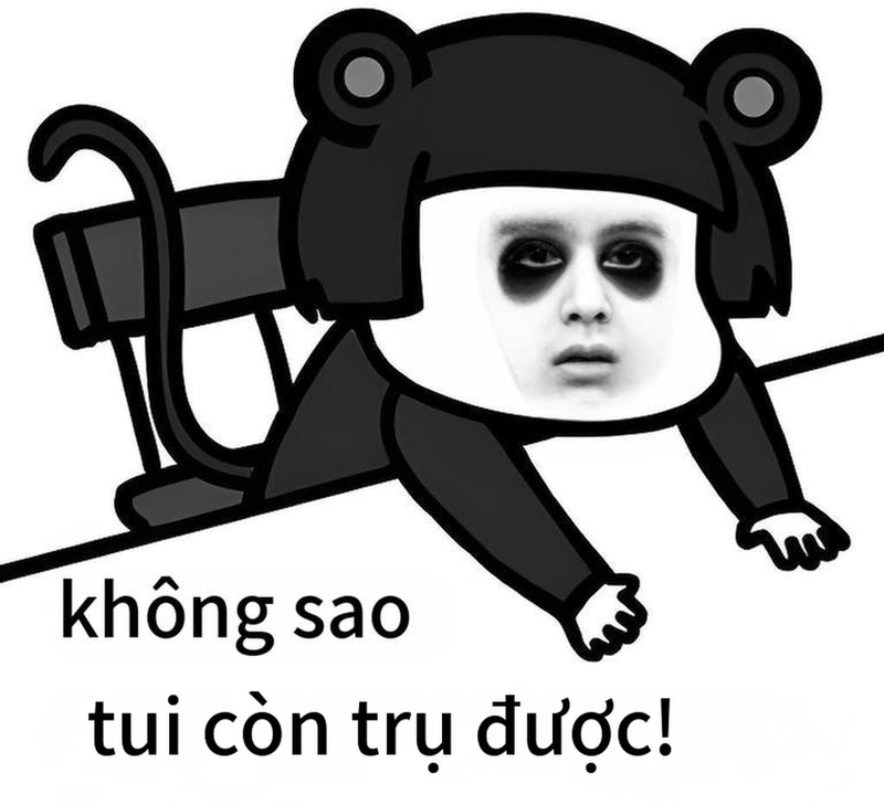 Meme gấu trúc thức khuya bá đạo