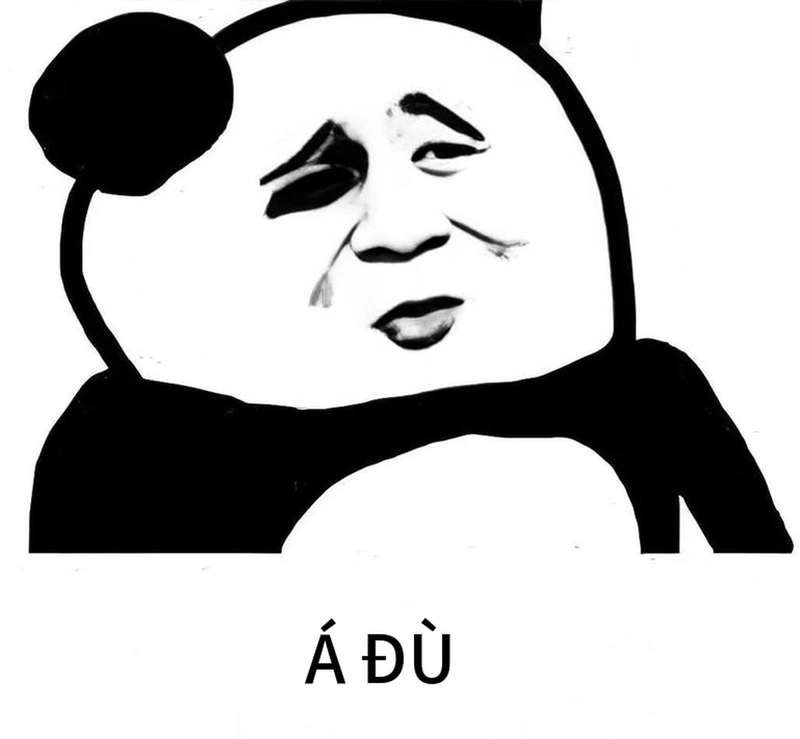 Meme gấu trúc thức khuya hài hước