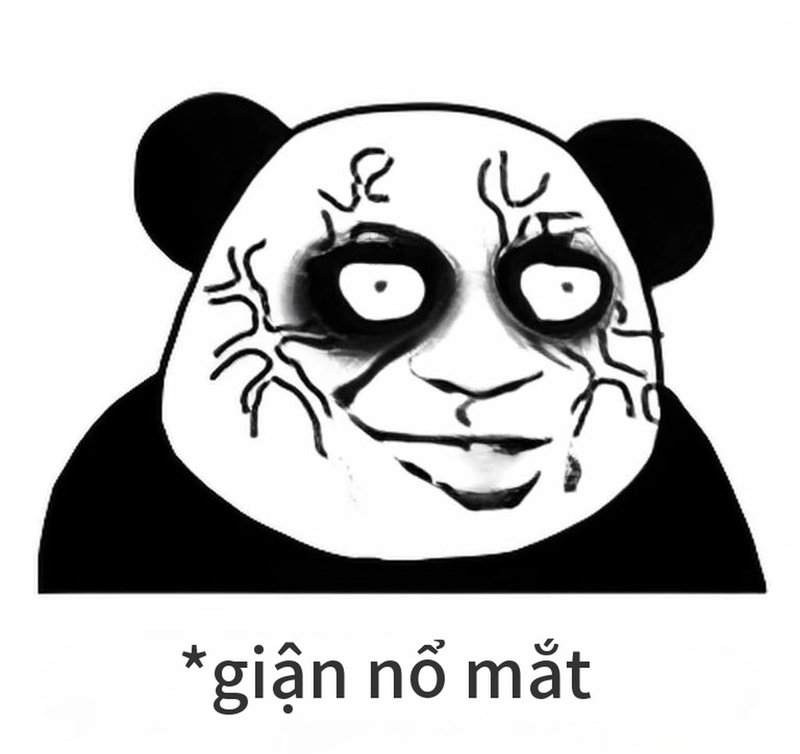 Meme gấu trúc thức khuya siêu hài hước