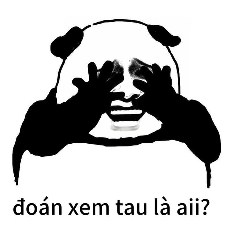 Meme gấu trúc thức khuya siêu lầy