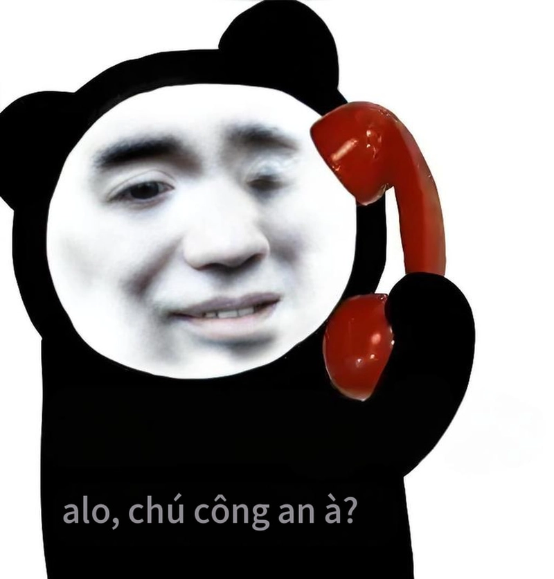 Meme gấu trúc thức khuya troll cực gắt
