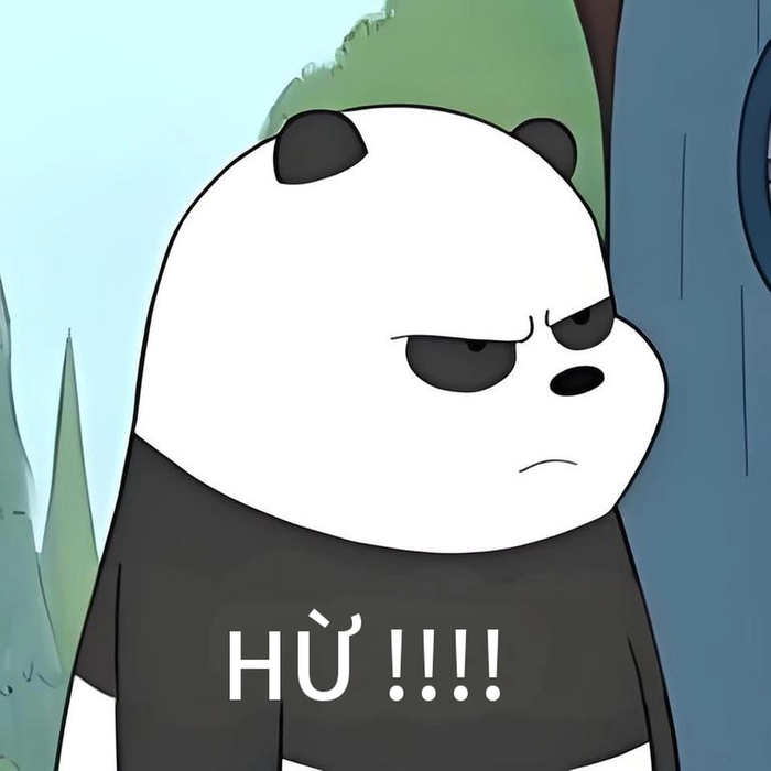 Meme gấu trúc tức giận cực bá đạo