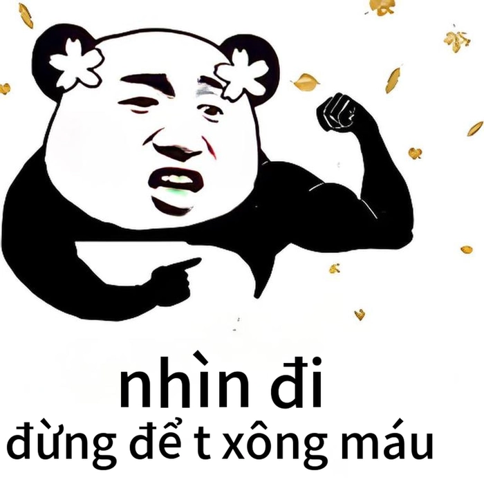 Meme gấu trúc tức giận hài hước