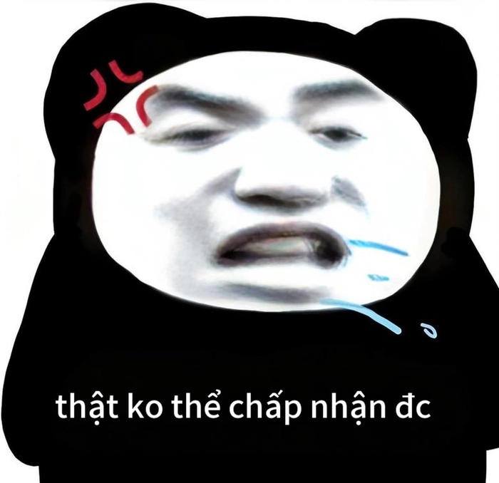 Meme gấu trúc tức giận troll bạn bè