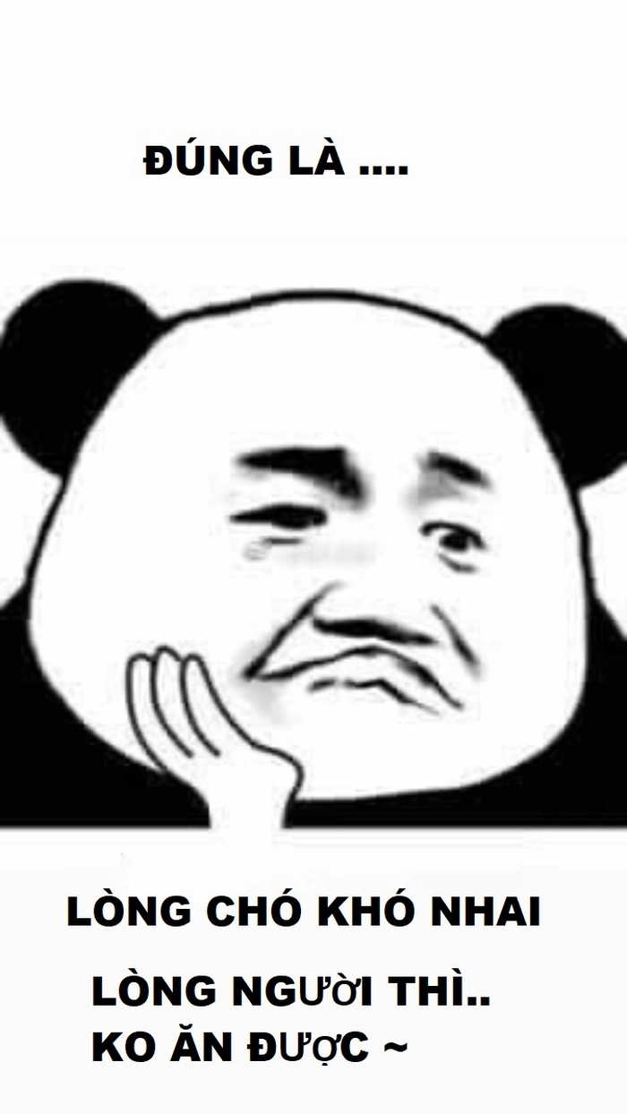 Meme hài hước lòng chó khó nhai