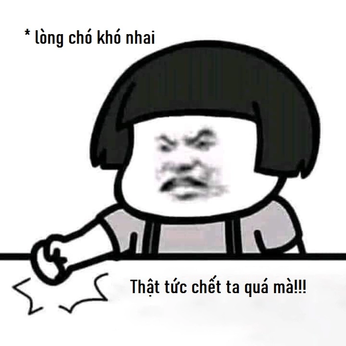 Meme hài lòng chó khó nhai
