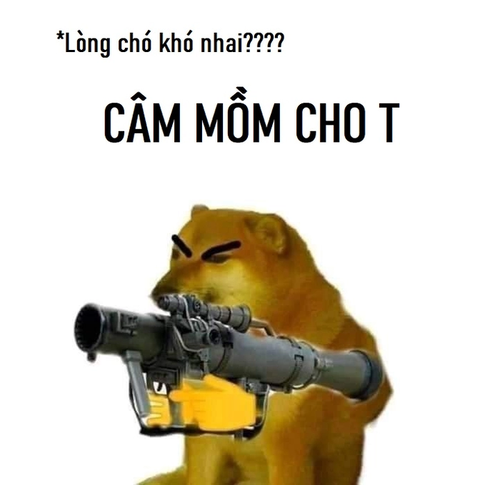 Meme khó đỡ lòng chó khó nhai