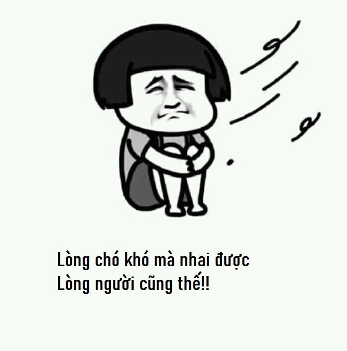 Meme lòng chó khó nhai bá đạo