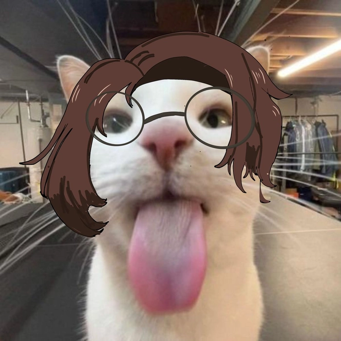 Meme mèo đeo kính