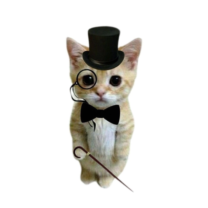 Meme mèo đeo mắt kính