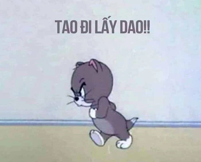 Meme mèo tức giận meme nổi tiếng