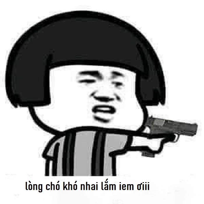 Meme vui lòng chó khó nhai