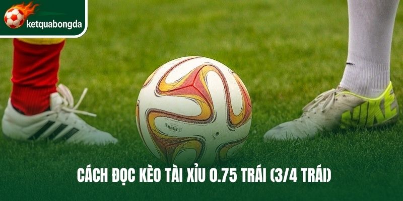 Cách đọc kèo tài xỉu 0.75 trái (3/4 trái)