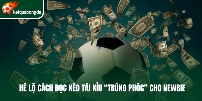 Cách Đọc Kèo Tài Xỉu