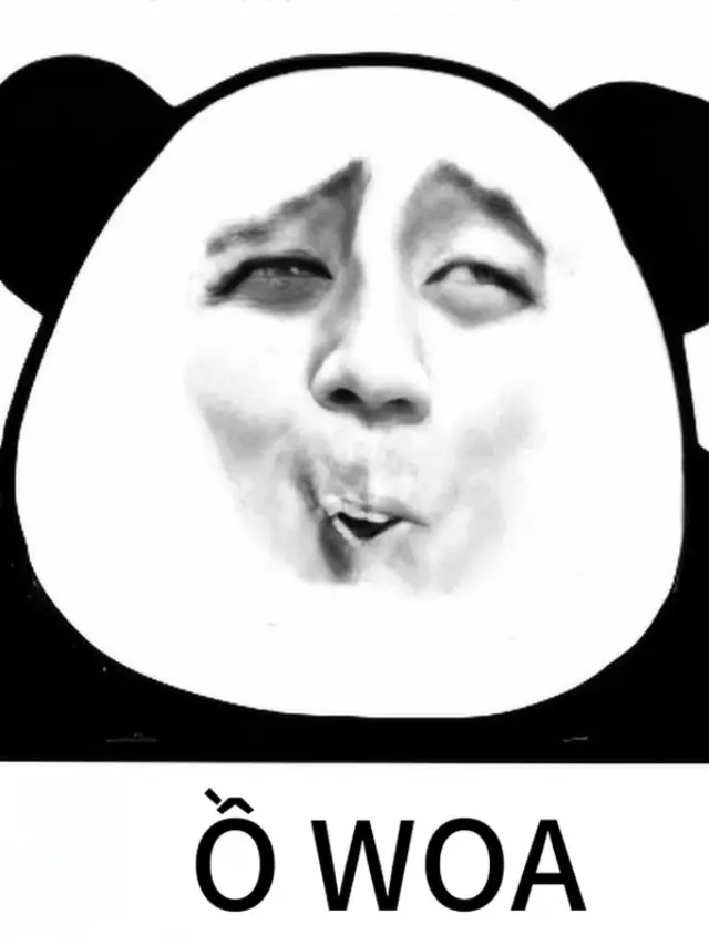 Cười lăn lộn với 555+ meme gấu trúc bất ngờ hài hước khó đỡ