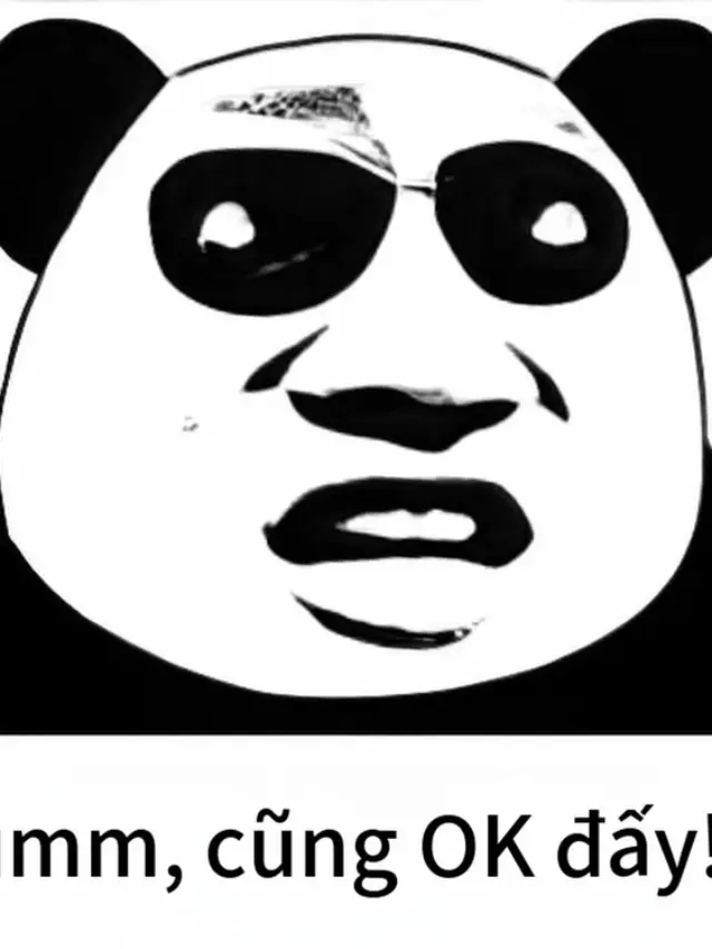 Xỉu ngang với 333+ meme gấu trúc mắt thâm hài hước bá đạo