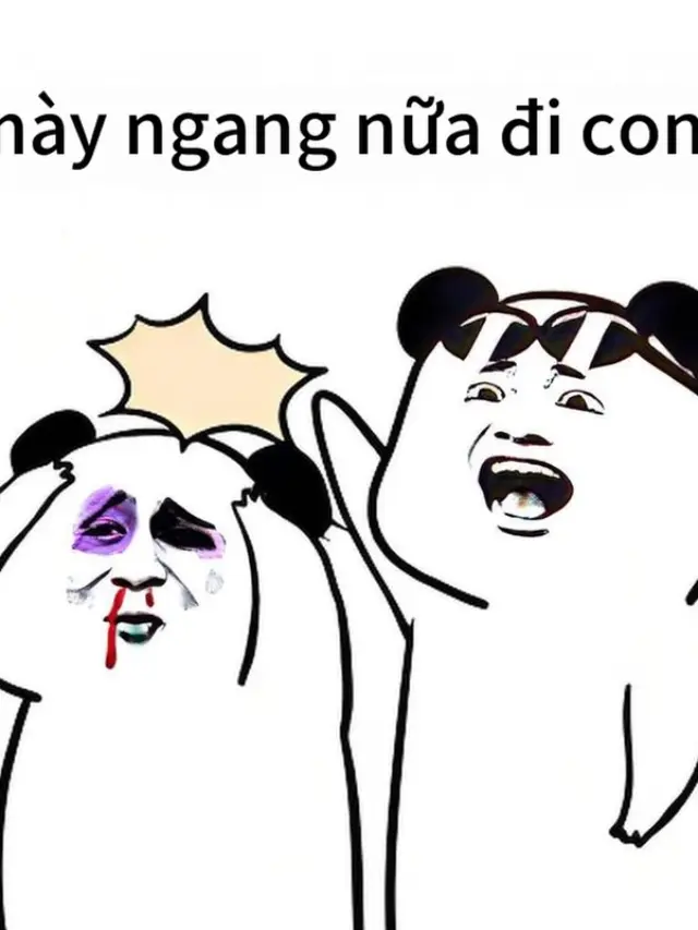 Tuyển chọn 567+ meme gấu trúc ngang ngược chế siêu lầy