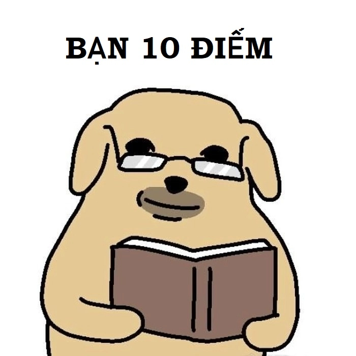 10 điểm không có nhưng meme siêu lầy