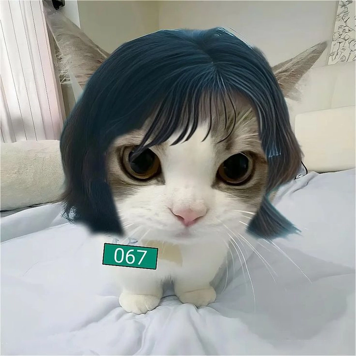 Ảnh chế Squid Game meme
