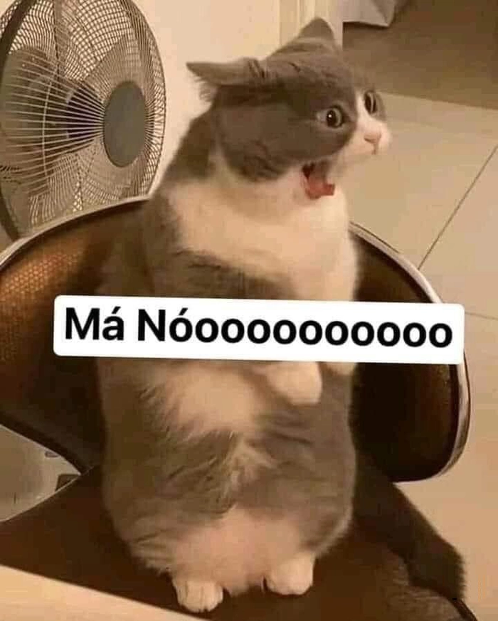 Ảnh chế chửi meme hài bá đạo