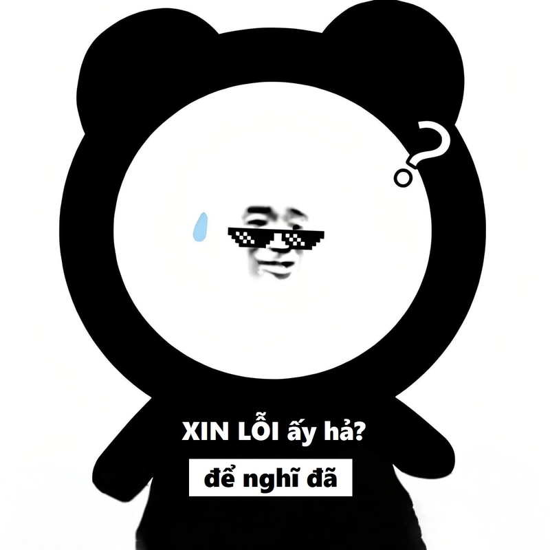 Ảnh chế hài meme gấu trúc xin lỗi