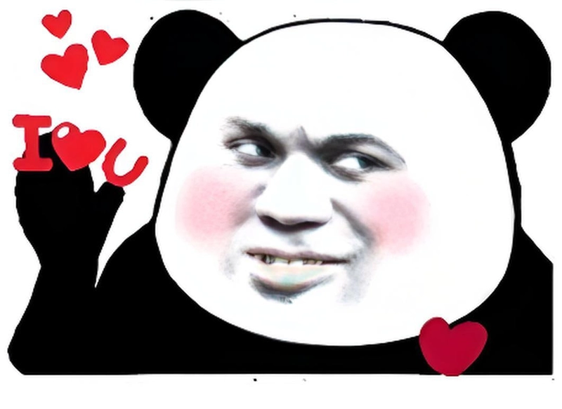 Ảnh chế hài meme gấu trúc yêu