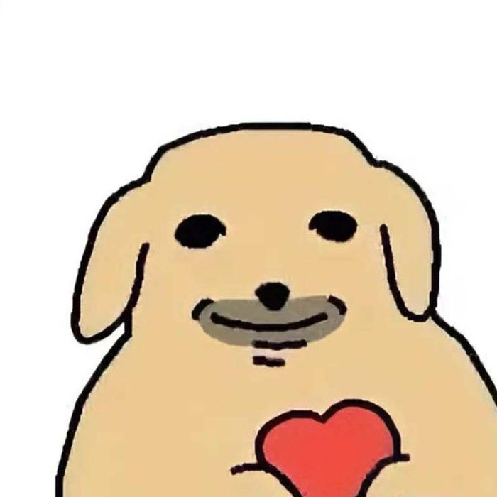 Ảnh chế meme con chó rách rưới