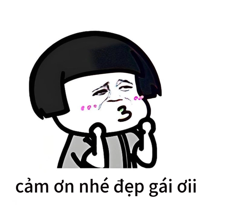 Ảnh chế meme gấu trúc đa tạ cực hài