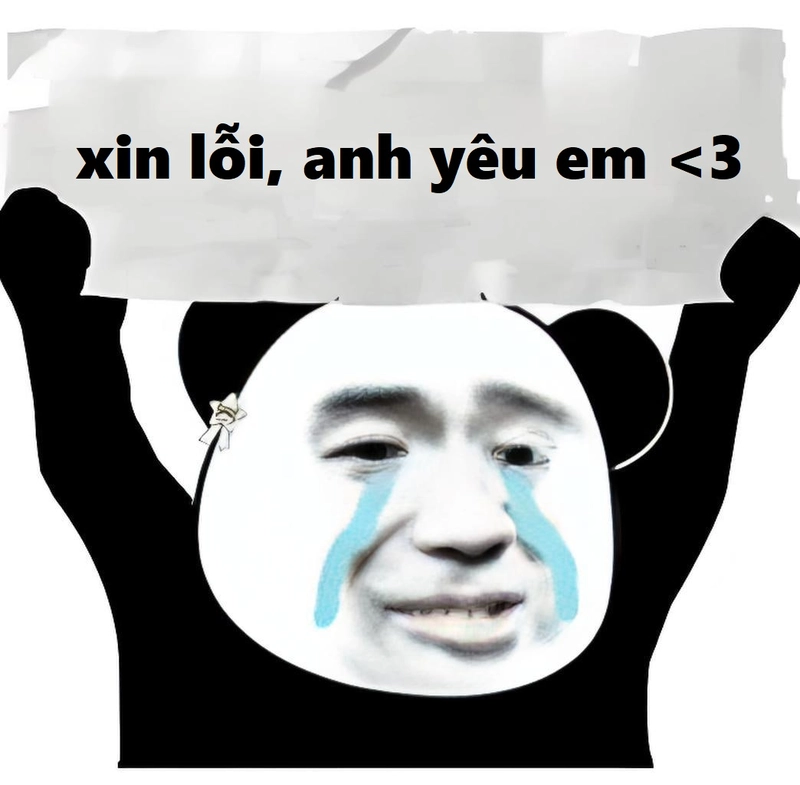 Ảnh chế meme gấu trúc xin lỗi