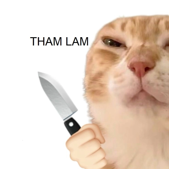Ảnh chế tham lam meme vui nhộn