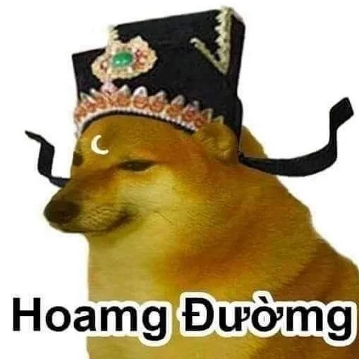 Ảnh chó vàng chế lầy lội vui nhộn