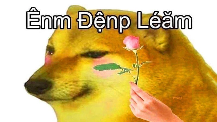Ảnh chó vàng meme chế hài